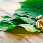 Understanding the Benefits of Kratom Shots for Busy Professionals